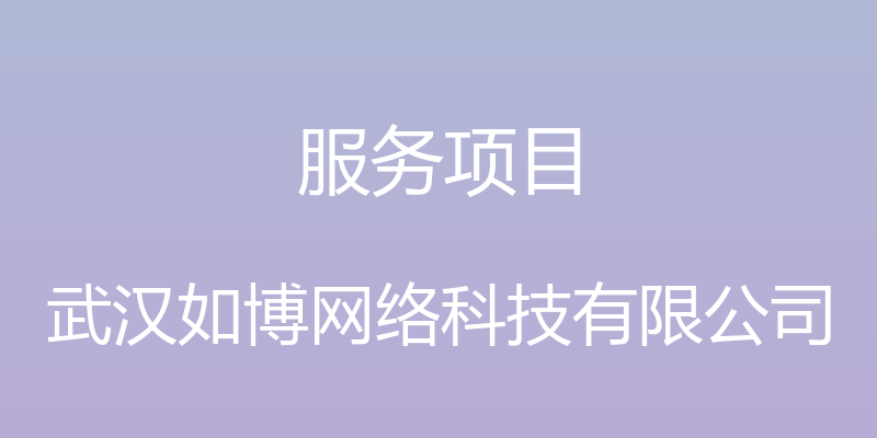 服务项目 - 武汉如博网络科技有限公司