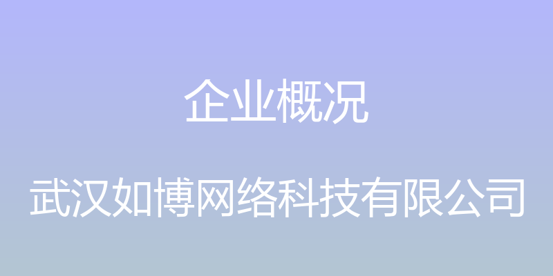 企业概况 - 武汉如博网络科技有限公司